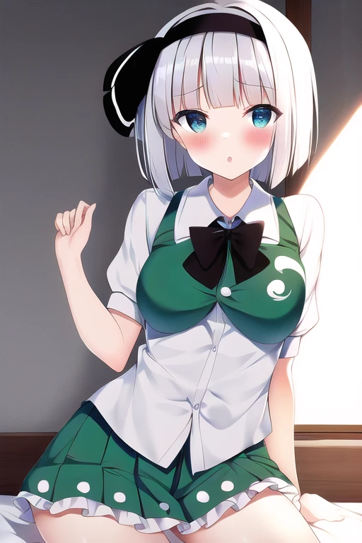 [Holara] Touhou Project Youmu Konpaku [Illustration]